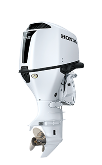 DBW BF115