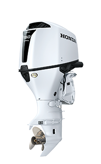 DBW BF150