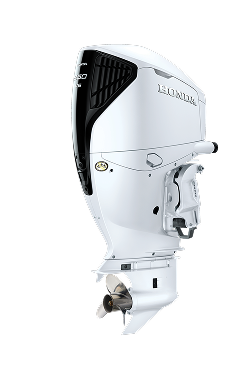 BF250