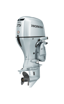 Side view of a BF75